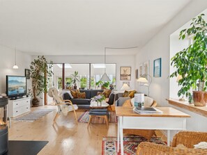TV, fireplace, DVD player