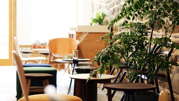 A cozy café with round tables and chairs, a large potted plant, and a stone wall in the background. - guesthouse by good neighbor (Baltimore)