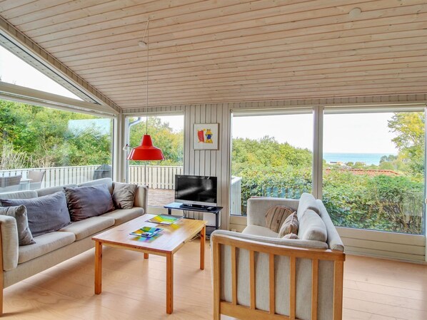 TV, fireplace, DVD player