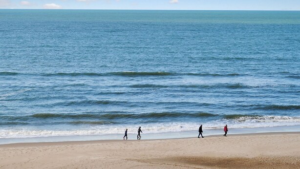 Ein Strand mit blauem Himmel und ruhigem Meer.
