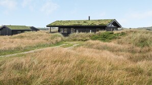 Une maison moderne avec un toit végétalisé, entourée d’herbes hautes et sous un ciel dégagé.