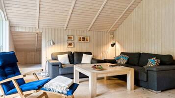 Télévision, cheminée, lecteur de DVD