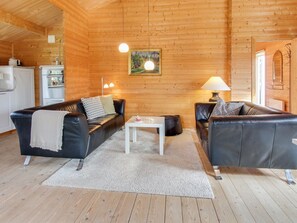 Tv, pejs, dvd-afspiller