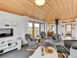 Télévision, cheminée, lecteur de DVD