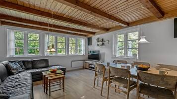TV, fireplace, DVD player