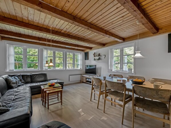 TV, fireplace, DVD player