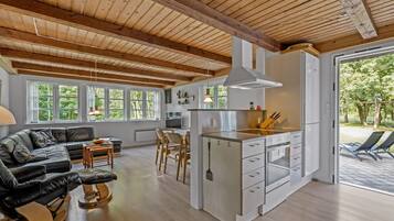 TV, fireplace, DVD player