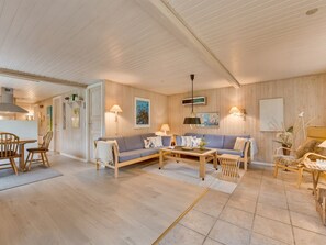 Fernseher, Kamin, DVD-Player