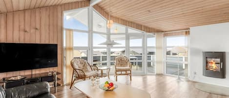 TV, fireplace, DVD player