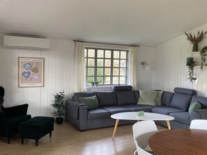 TV, fireplace, DVD player