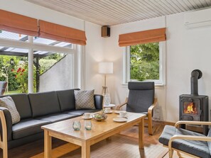 Fernseher, Kamin, DVD-Player