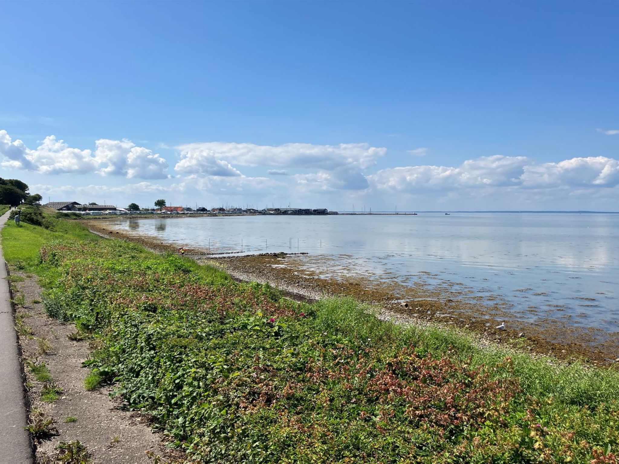 Ein Küstenweg mit einem Rasenpfad, ruhigem Meer und Gebäuden in der Ferne.