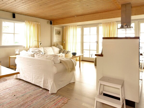 Fernseher, Kamin, DVD-Player