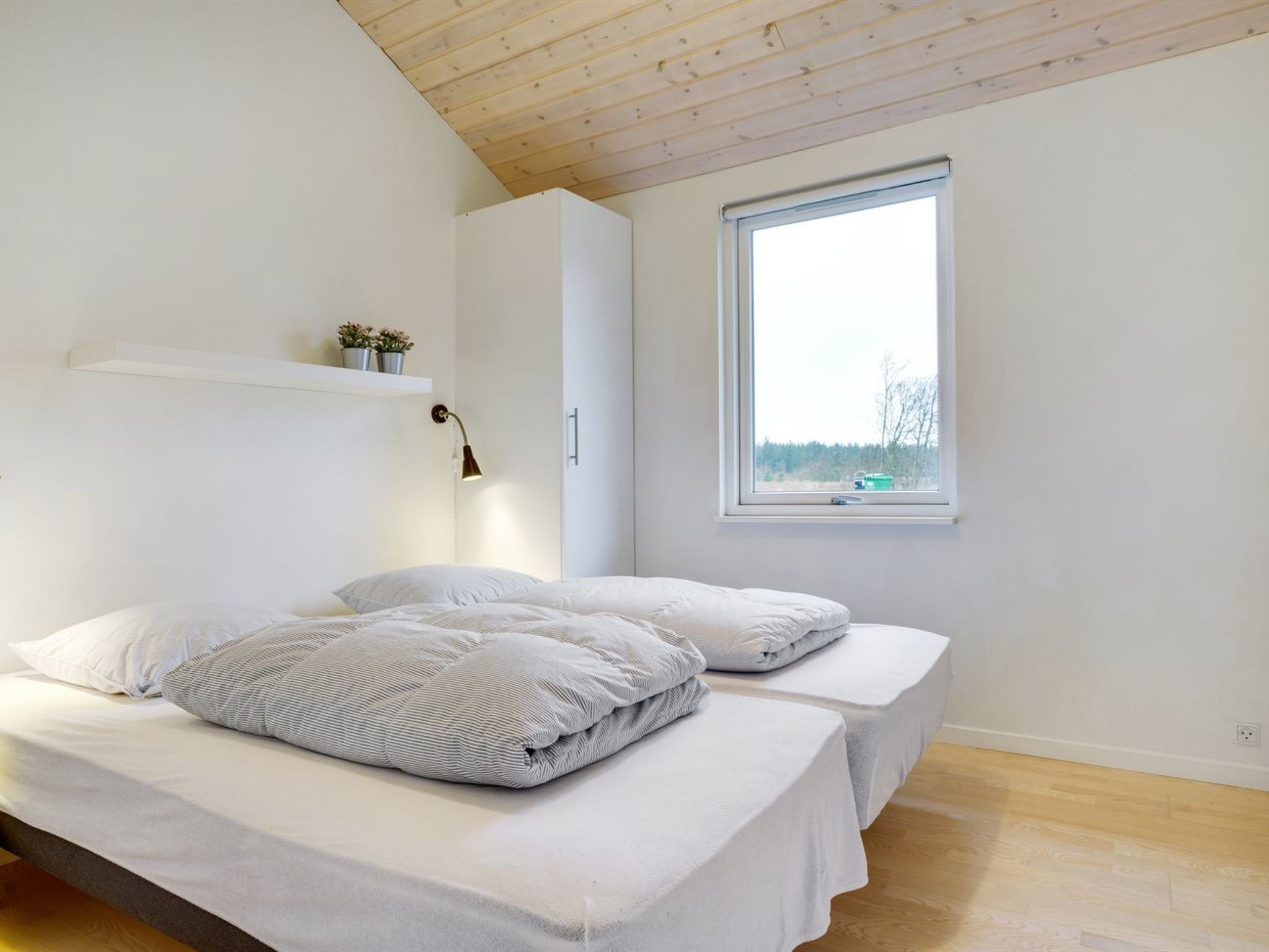 Une chambre avec deux lits, une fenêtre, une étagère avec des plantes et une lampe.