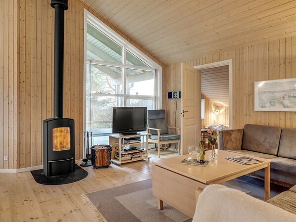 Tv, eldstad och dvd-spelare