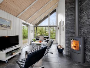 TV, fireplace, DVD player