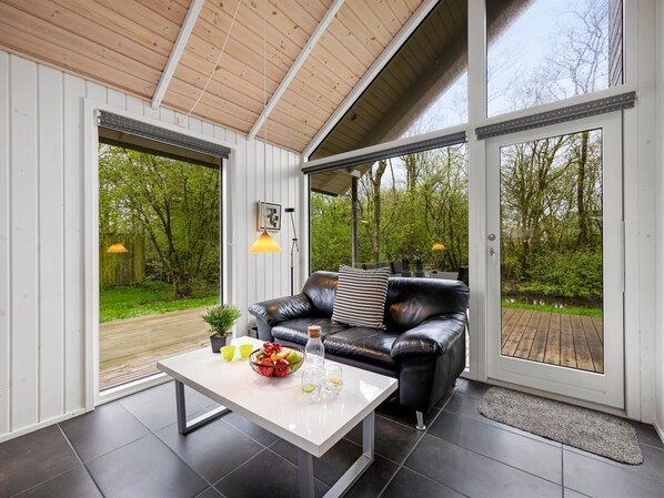 TV, fireplace, DVD player