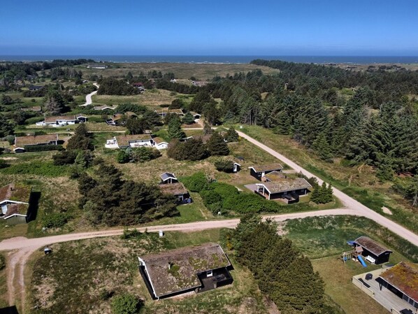 An aerial view of a rural area with scattered houses, dense forest, and a clear view of the ocean.