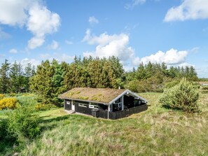 A cabin with a sloped roof, surrounded by dense forest and grassland.