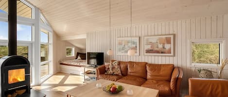 Televisión y chimenea