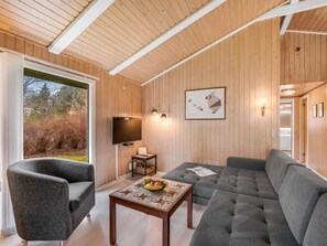 Televisión, chimenea y reproductor de DVD 