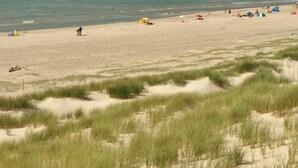 Ein Strand mit Dünen und freiem Blick auf den Ozean.