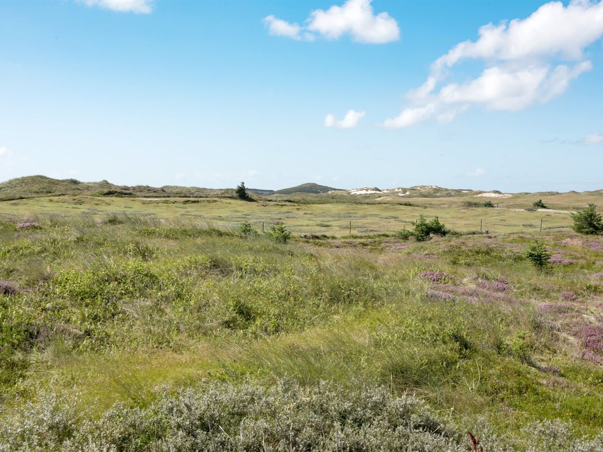 A wide-open landscape with rolling hills and sparse vegetation.