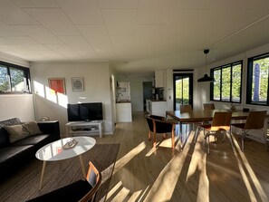 Fernseher, Kamin