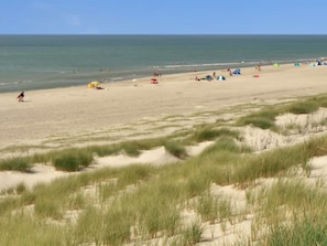 A beach with tents and people.