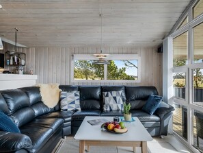 TV, fireplace, DVD player