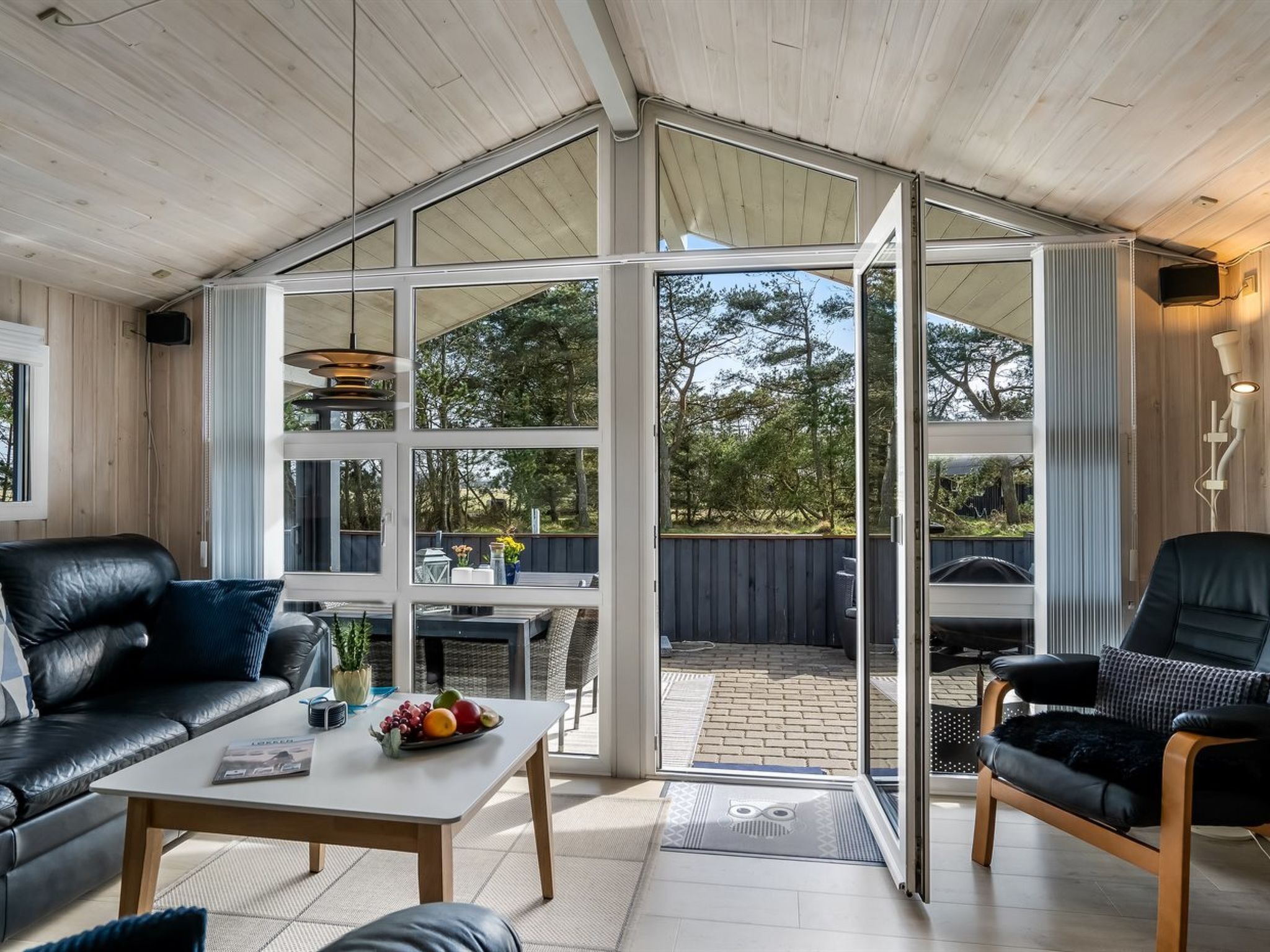 TV, fireplace, DVD player