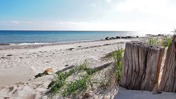 Una playa arenosa con un poste de madera y algo de hierba al frente.