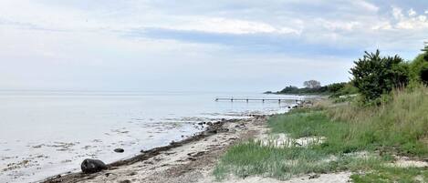 Ranta