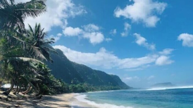 A beach with palm trees and a mountain in the background. - Jaymy Beach Fales (Saleapaga)