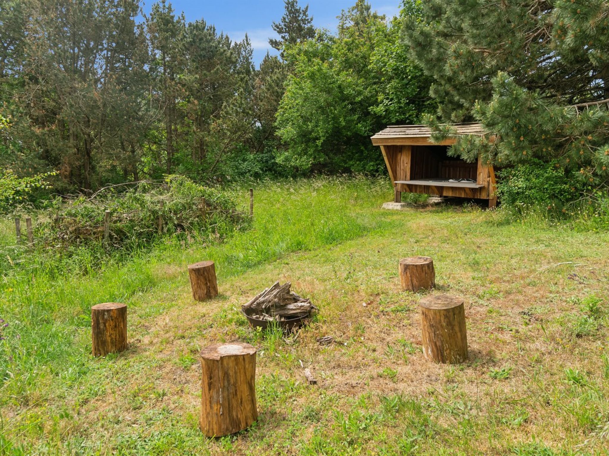 Una cabaña de madera rústica rodeada por un entorno forestal natural, con varios tocones de madera dispuestos en círculo.