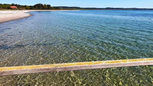 A clear view of a beach with a wooden railing in the foreground. - "Eva" - 1.5km to the fjord by Interhome (Knebel)