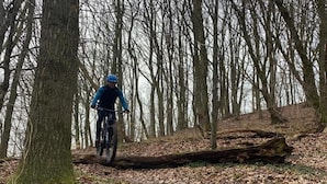 A person riding a bicycle through a forested area with leaf-covered ground and trees. - "Eva" - 1.5km to the fjord by Interhome (Knebel)