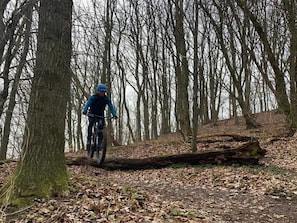 A person riding a bicycle through a forested area with leaf-covered ground and trees.