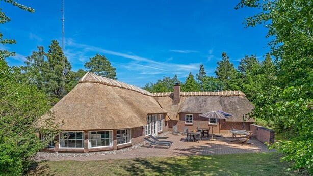Een rieten huis met een terras, omgeven door bomen.