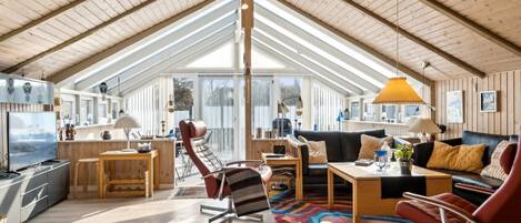 Televisión, chimenea y reproductor de DVD