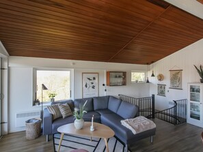 Televisión y chimenea 