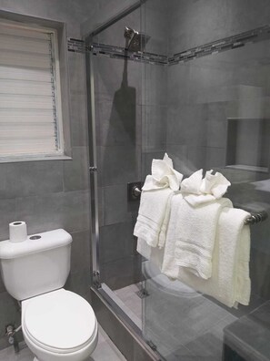 Dusche, Haartrockner, Handtücher, Seife