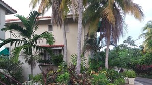 Zona residencial com uma casa com varanda, cercada por vegetação tropical exuberante e uma entrada de automóveis em curva.