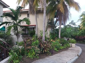 المنطقة المحيطة بالمنشأة