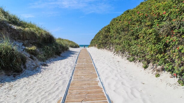A wooden boardwalk leading to a beach with sand and vegetation on either side. - "Wilgrib" - 400m from the sea by Interhome (Højby)