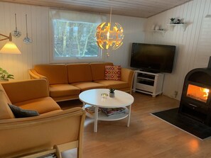TV, lareira, DVD player