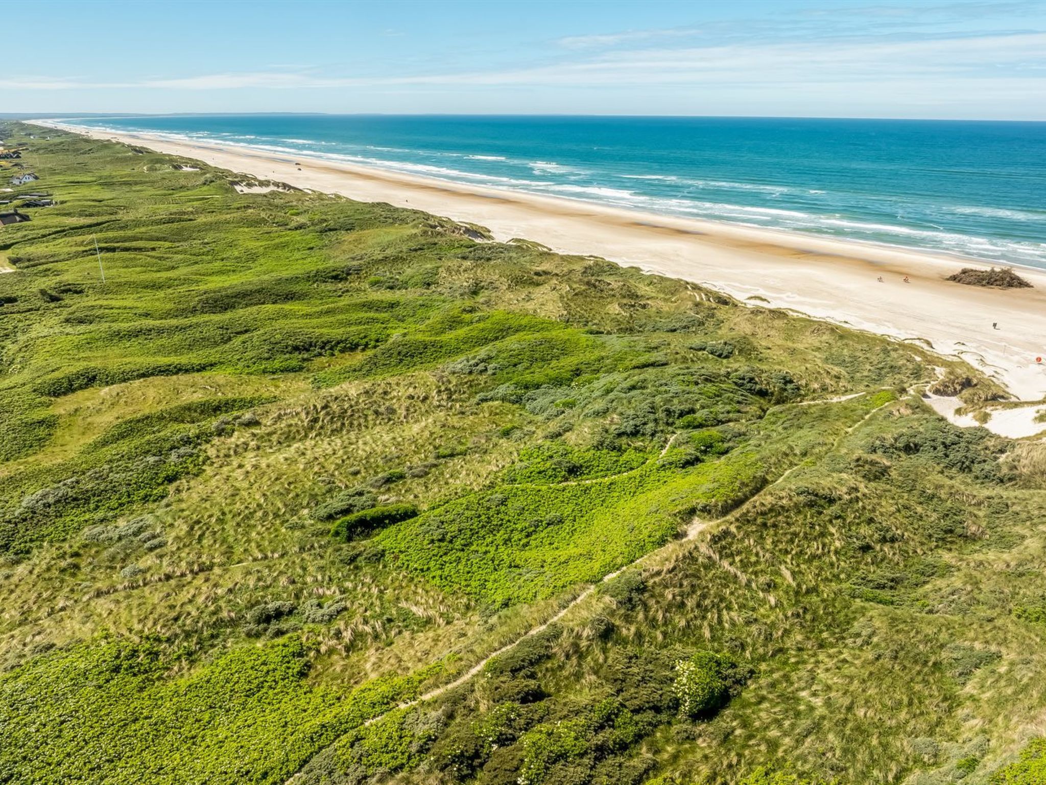 Luftaufnahme einer Küstenregion mit Strand und grüner Vegetation.