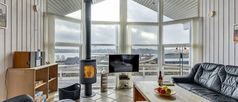 Tv, pejs, dvd-afspiller