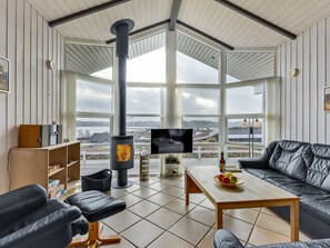 Televisión, chimenea y reproductor de DVD 