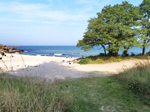 A beach with a sandy shore, a few people, and a large tree.